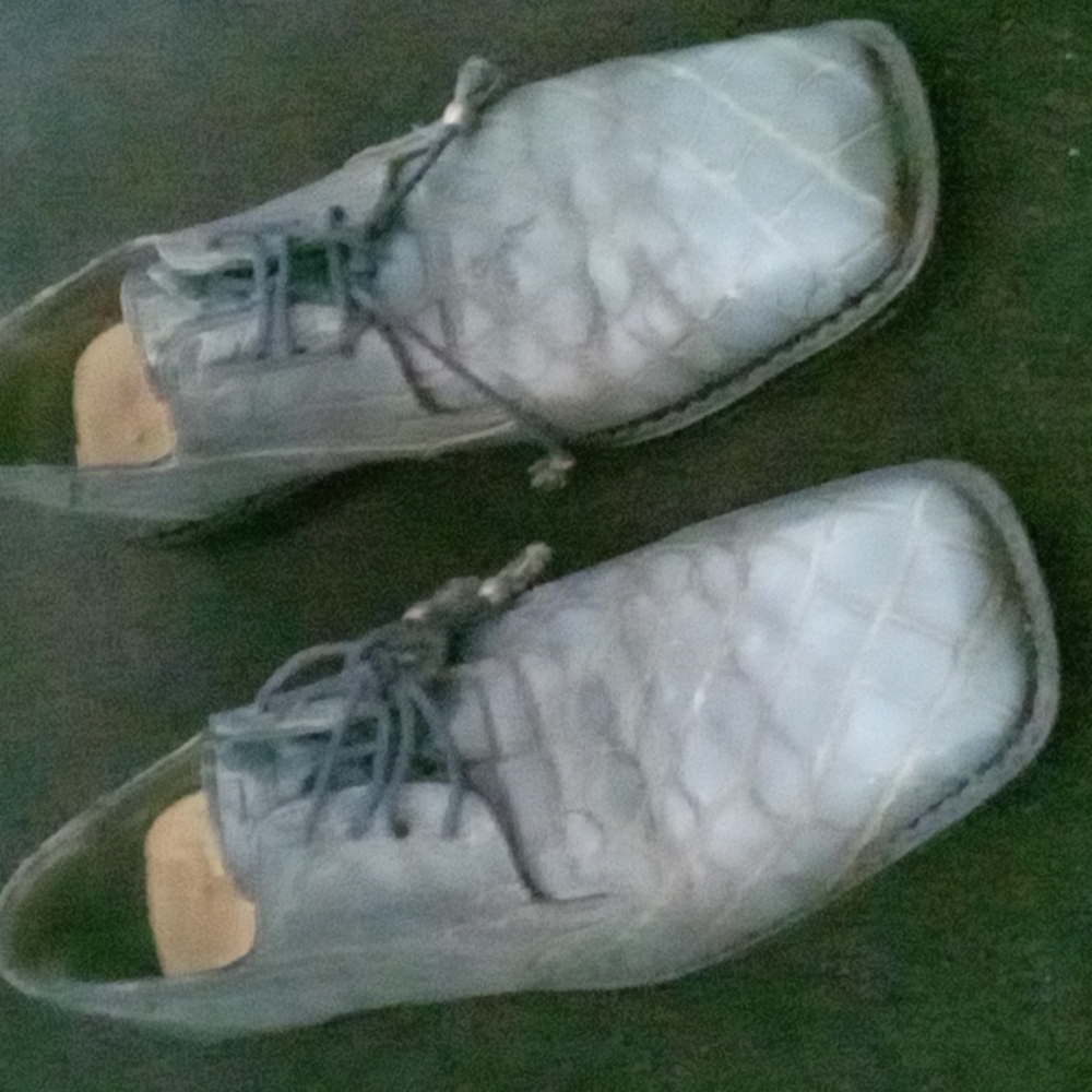 David Eden full alligator shoes